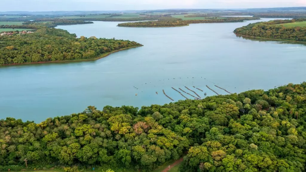 TILÁPIA NO ITAIPU ][ Brasileiros comemoram a provação da tilapicultura no Lago da usina binacional